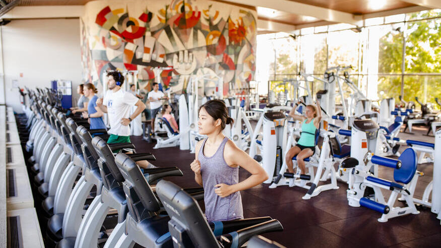 01813_425af1b546ab1a603a0b87682f68462b