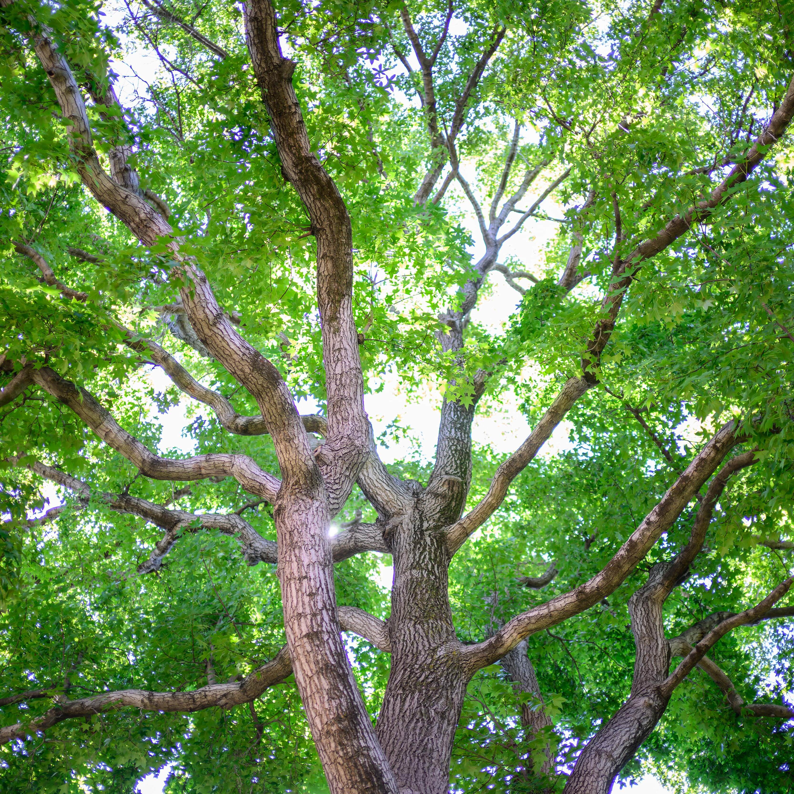 Janet-Clarke-Hall-portraits-1373